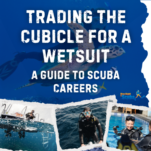 Trading the Cubicle for a Wetsuit: A Guide to Scuba Careers