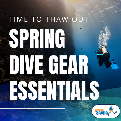 Time to Thaw Out: Spring Dive Gear Essentials